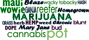 infographic_marijuana_HD